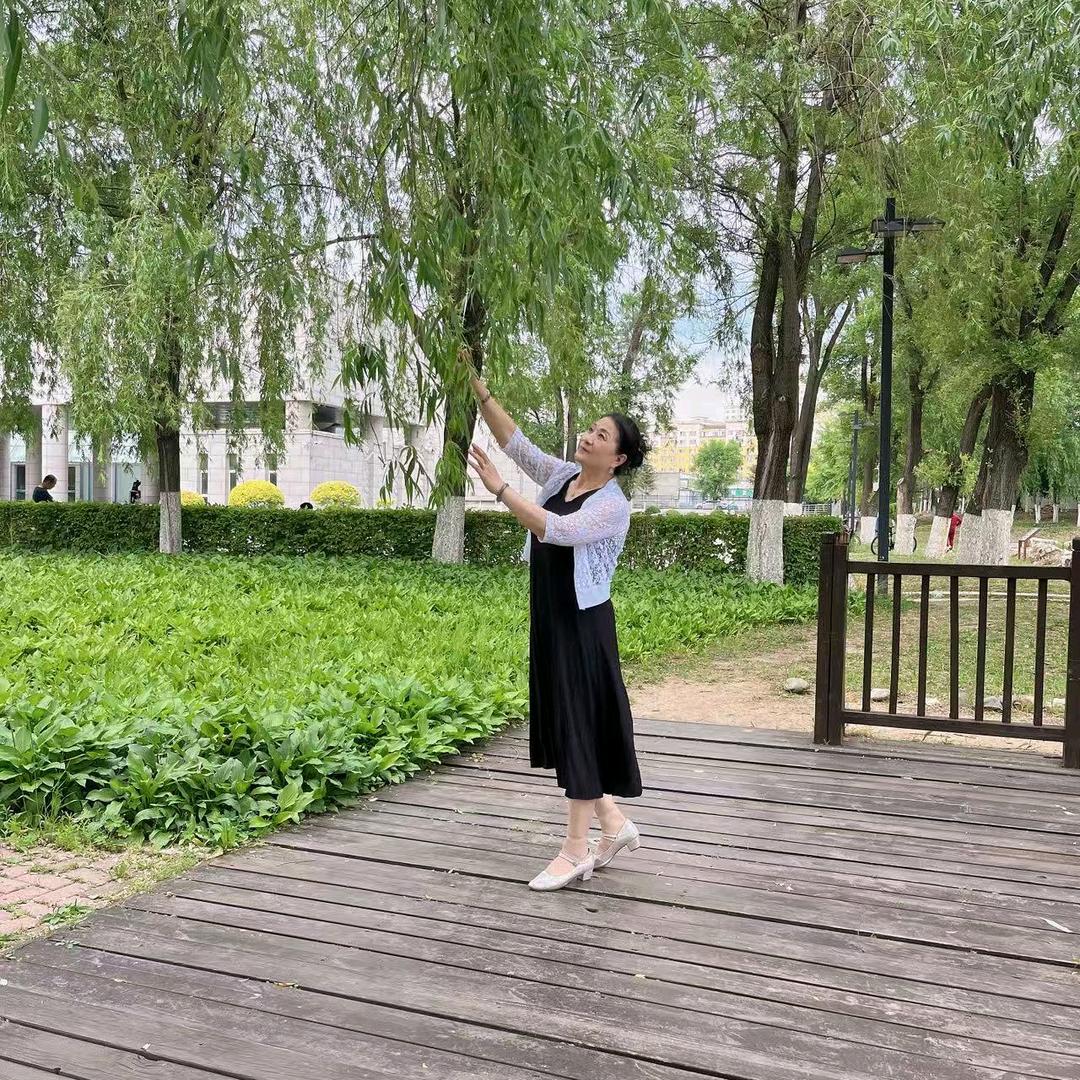 94644667913494944565