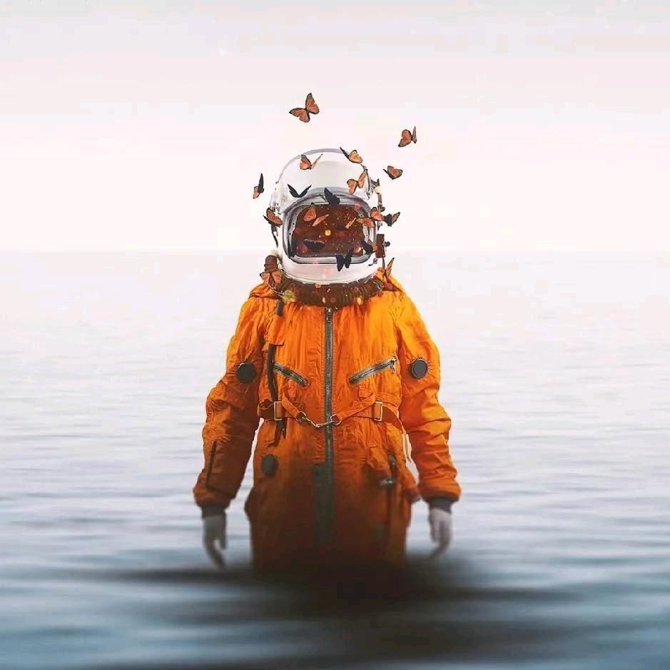 丹（吃了咖咖吃蛙)