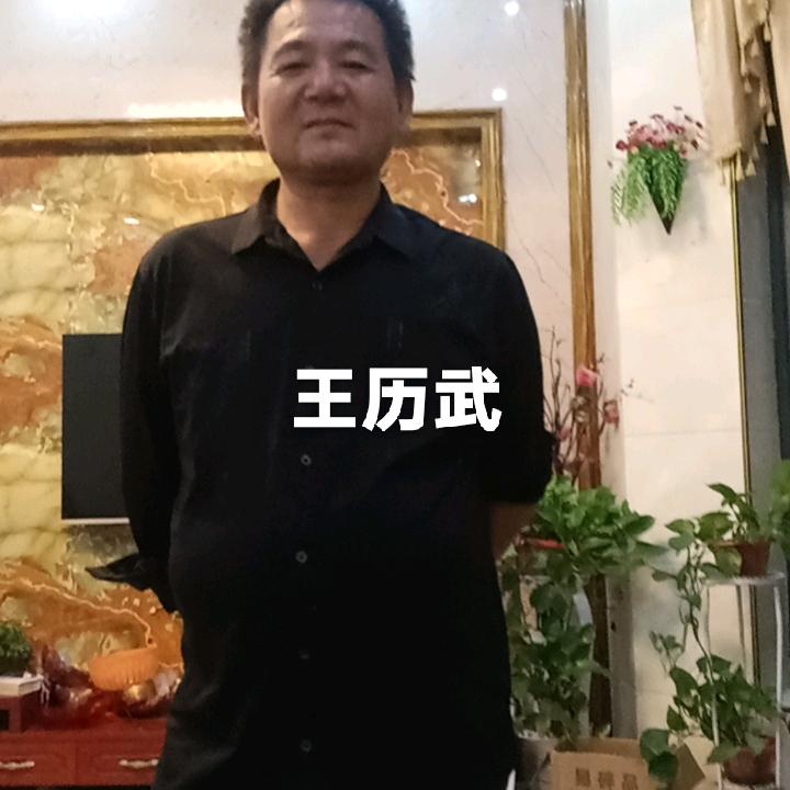 王历武