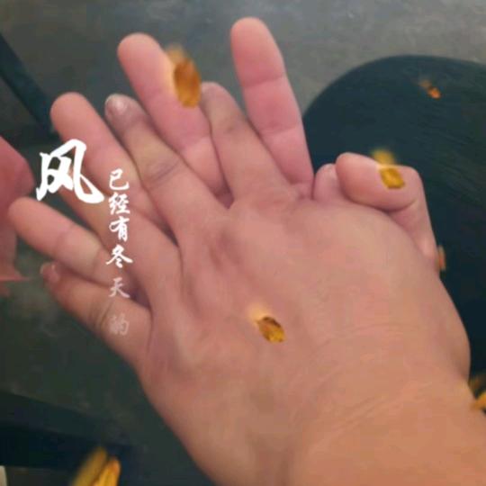 我爱你😘