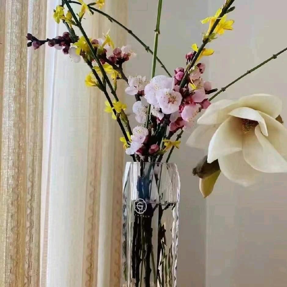 大乔的平凡生活