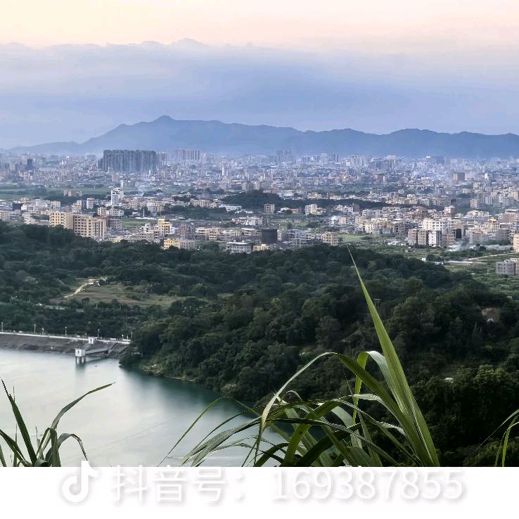 流氓不问岁数