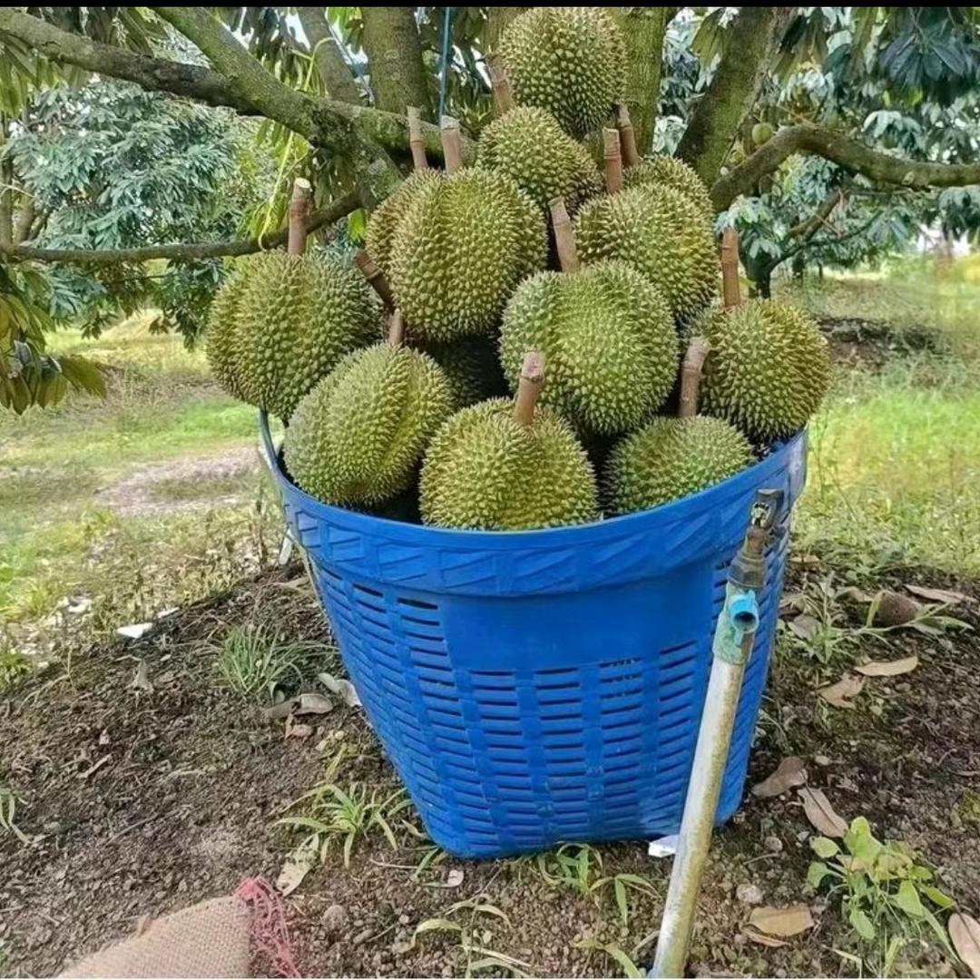 民心生鲜