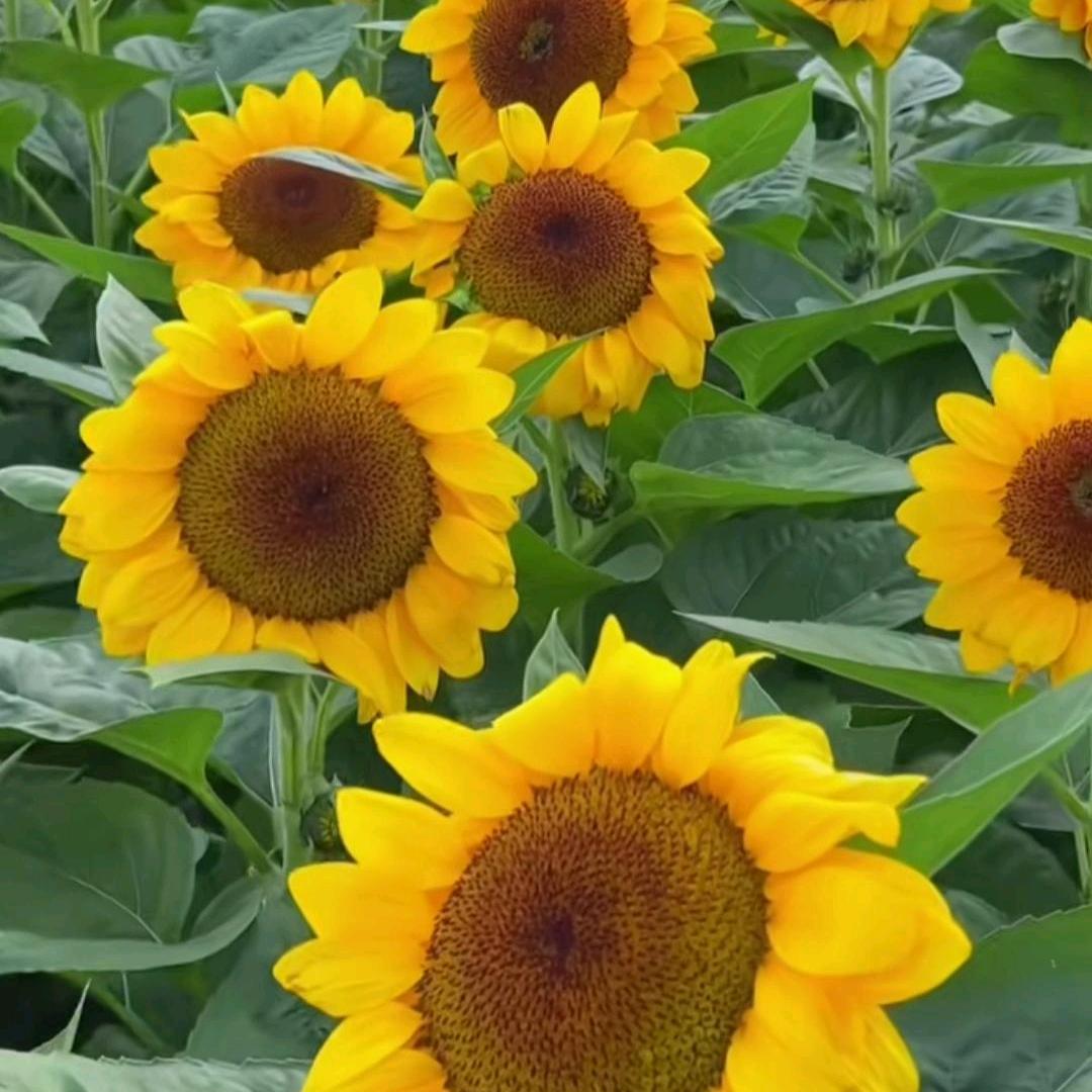 ૮₍♡一路顺风♡₎ა