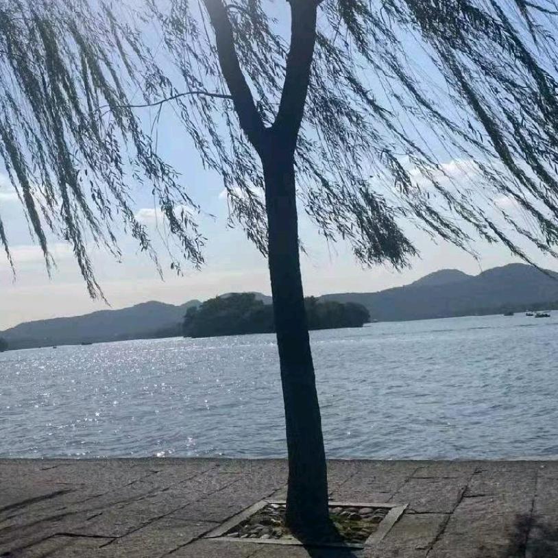 好运
