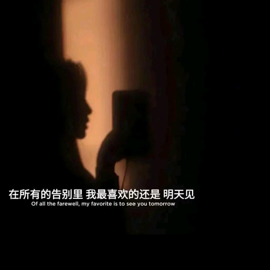 失眠数羊💤