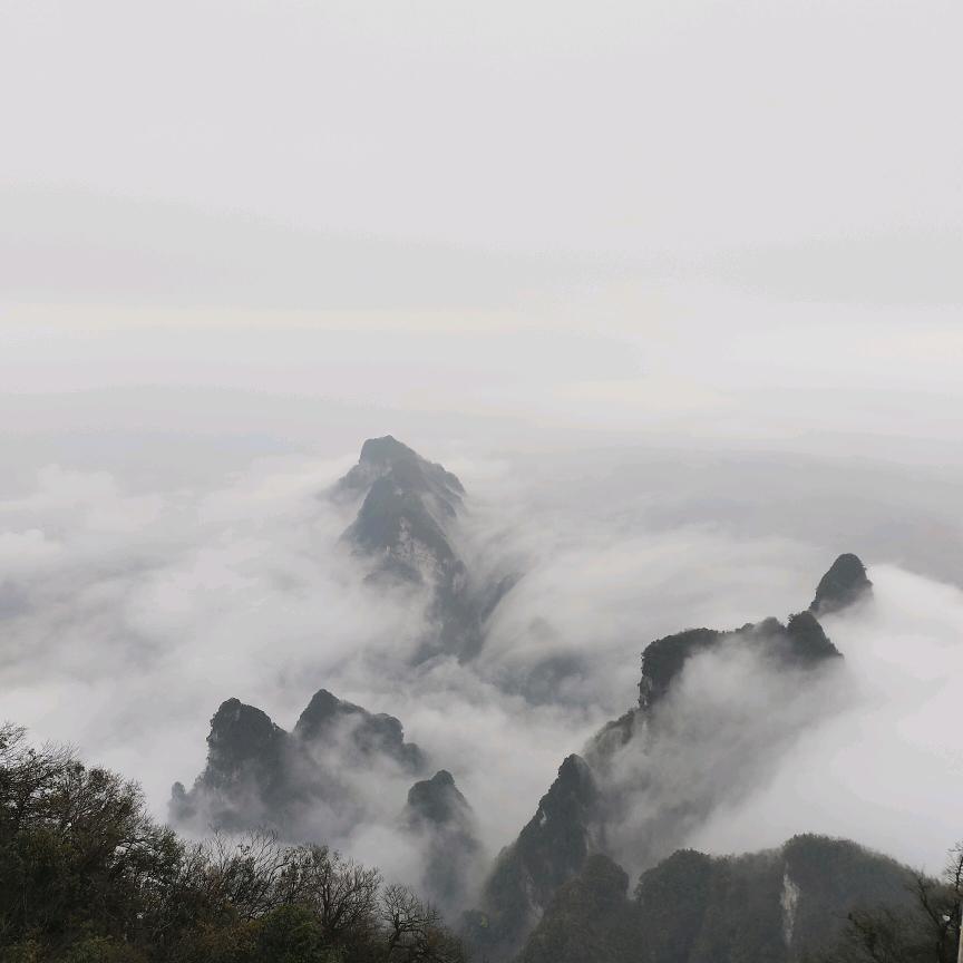手机哥会玩乐器