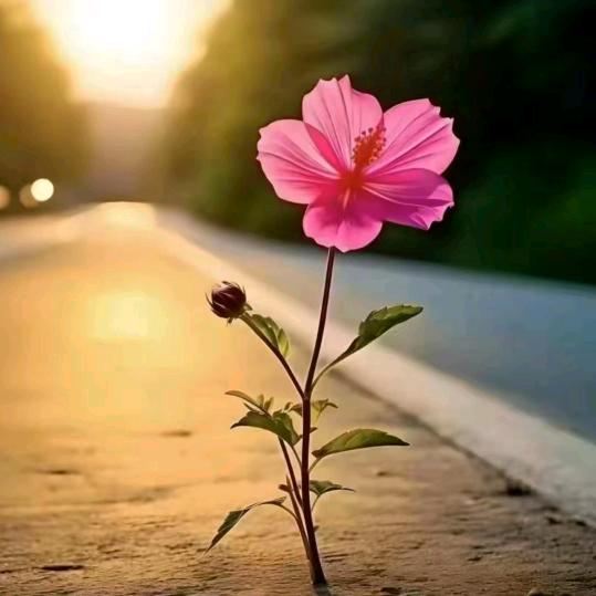 ❤️之所向~✨bbb