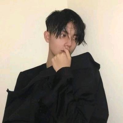 王杨卢骆之客多不能文