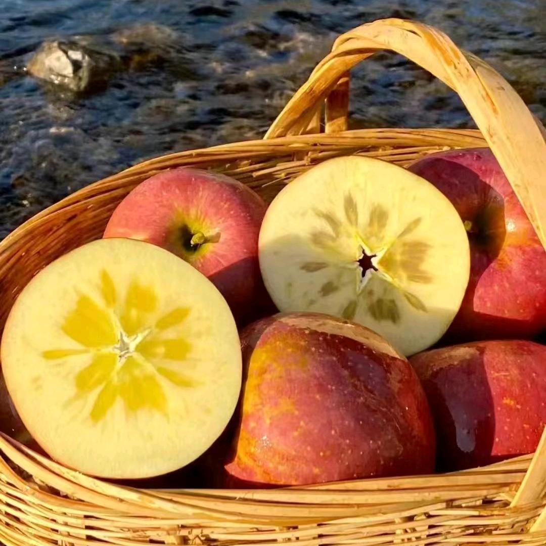 秀兰家山货特产店