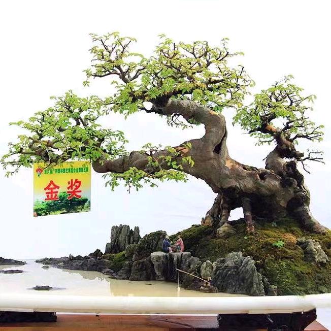 小可爱表妹