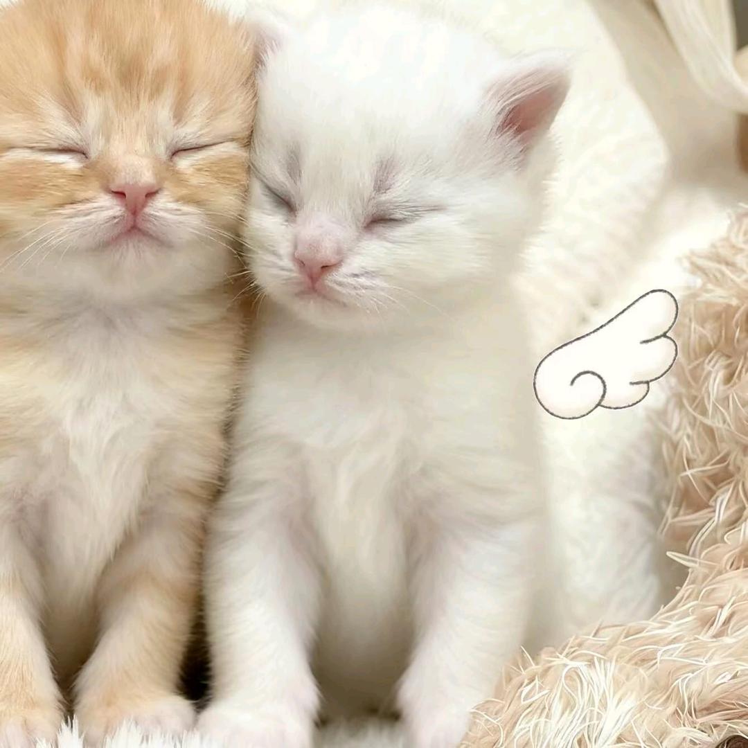 。。。。。。