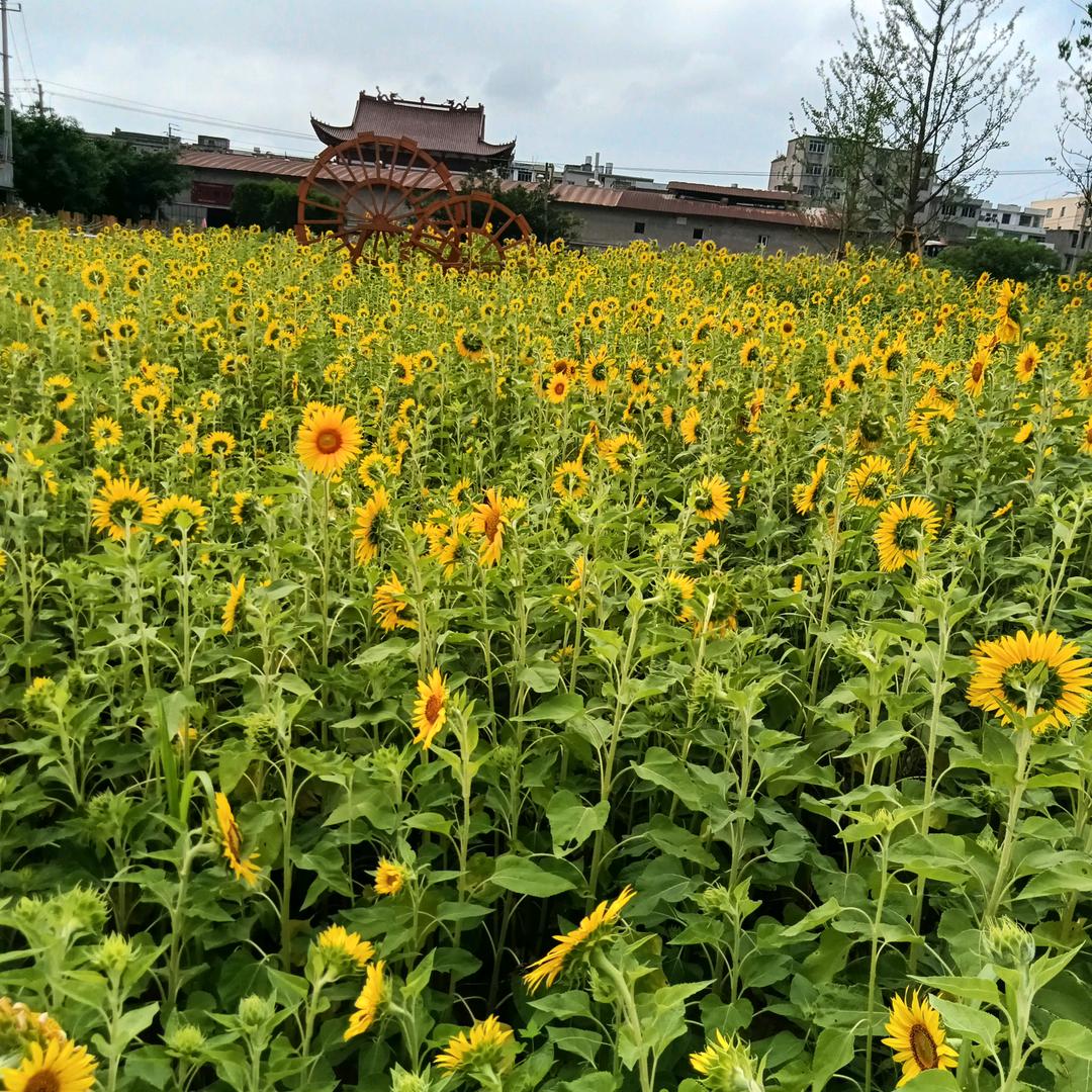 坤贤