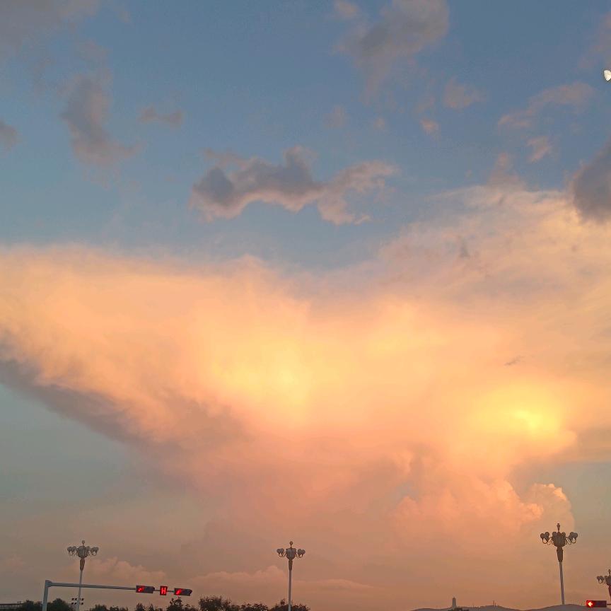 草药味儿の岁月