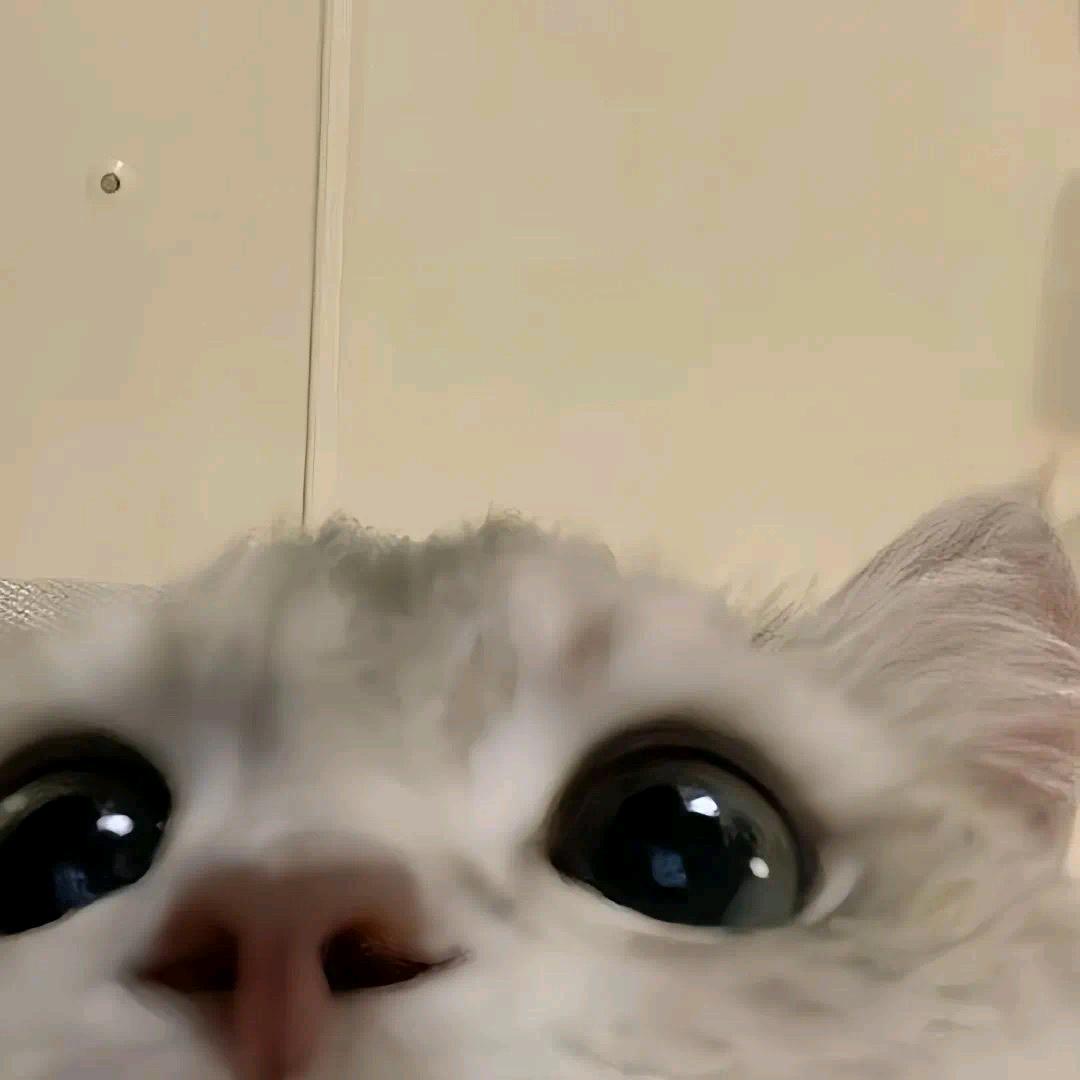 要早睡（音乐版）