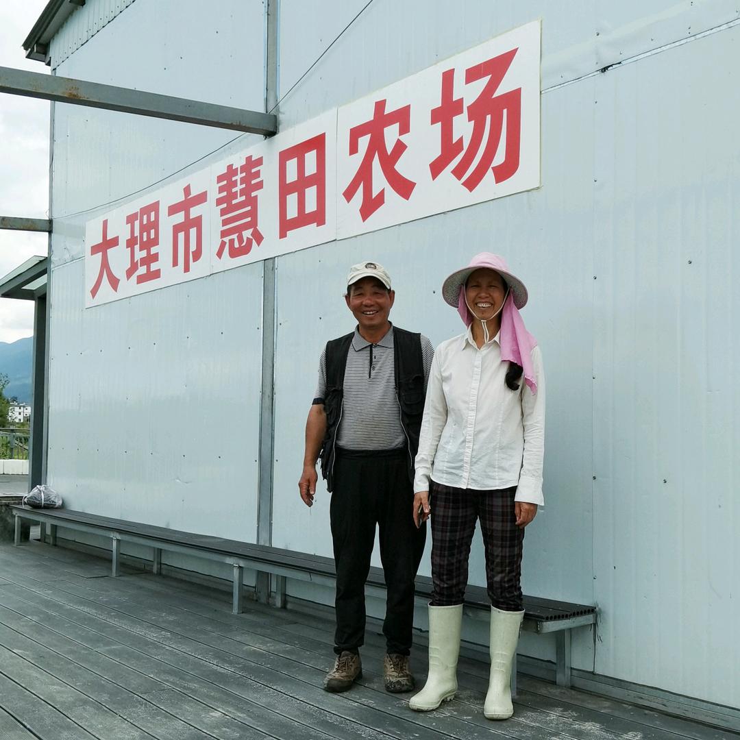 大理慧田老姚夫妇