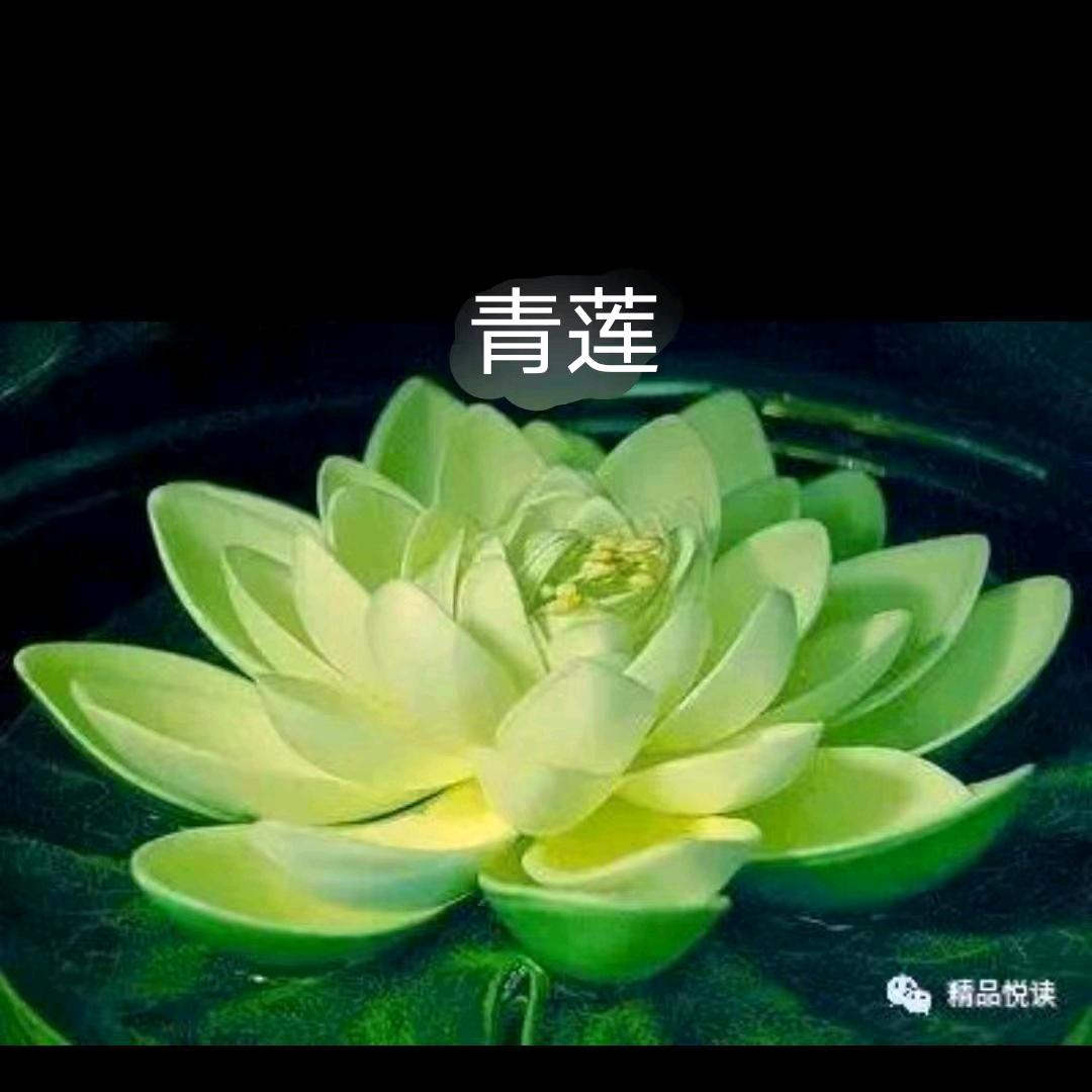 时间就是瓜姐