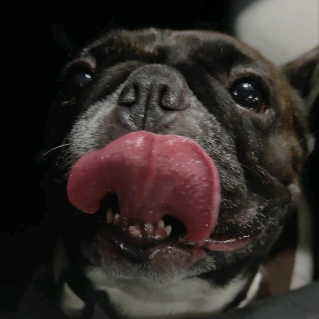 尼古拉斯丶酱酱