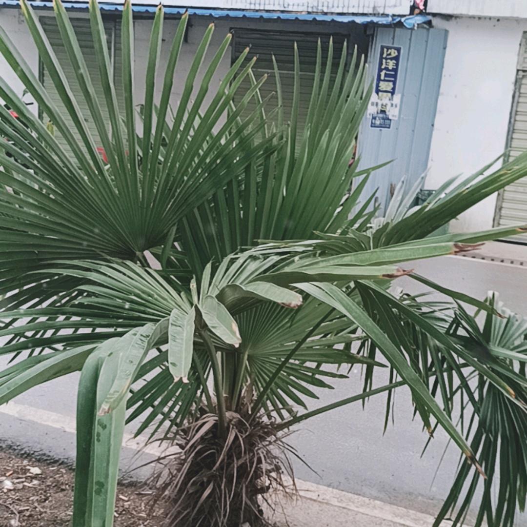 水立方