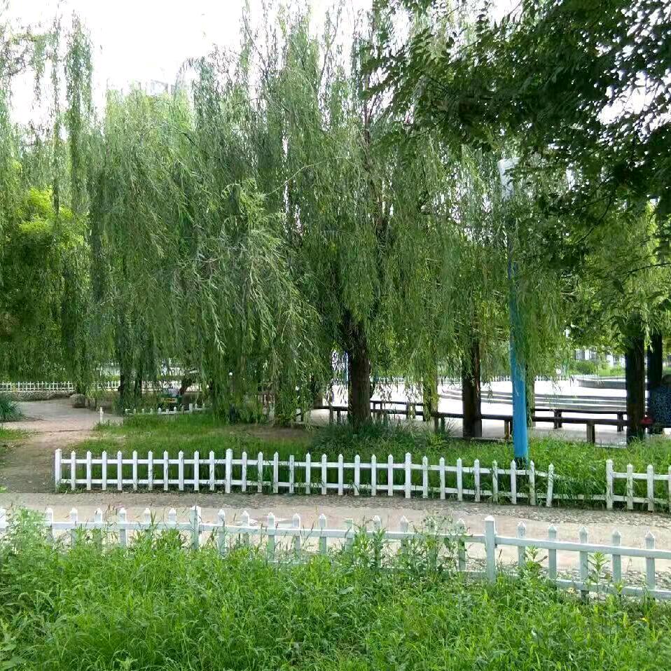 小花