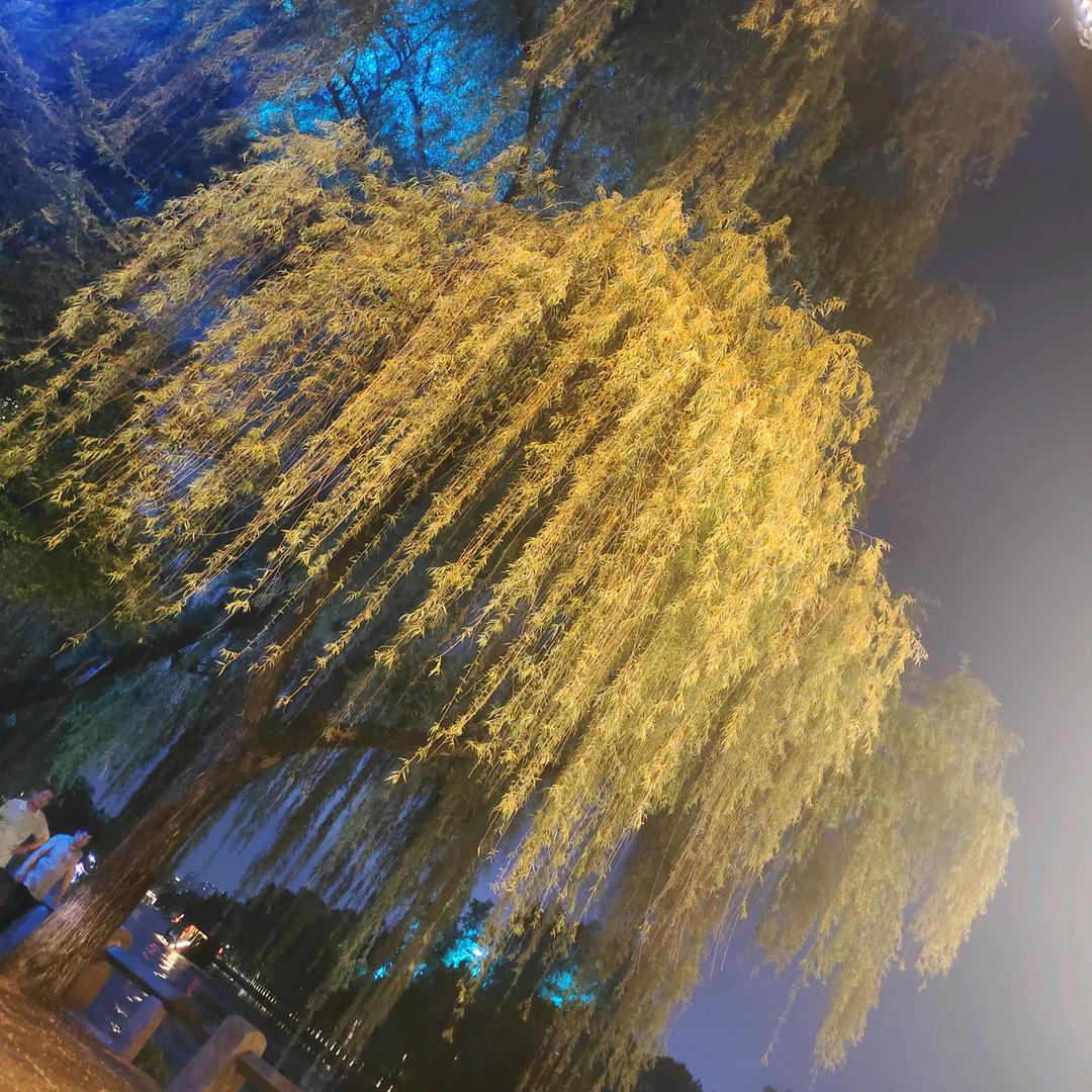 邹雨明