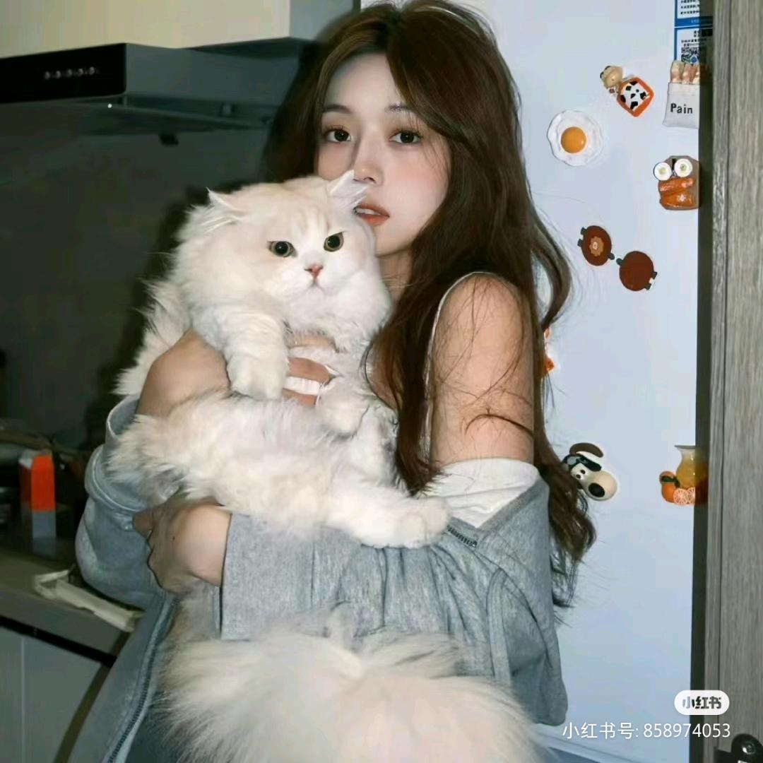 小鱼呆呆脑⌓‿⌓