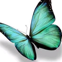 用户154413281135紫玉