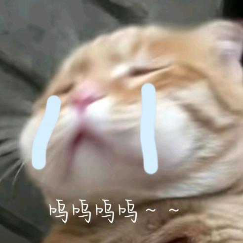 一口甜c