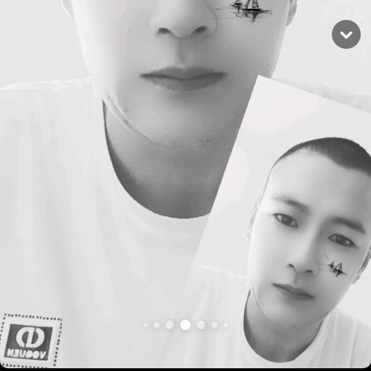 （花旗，铁杉，云杉）