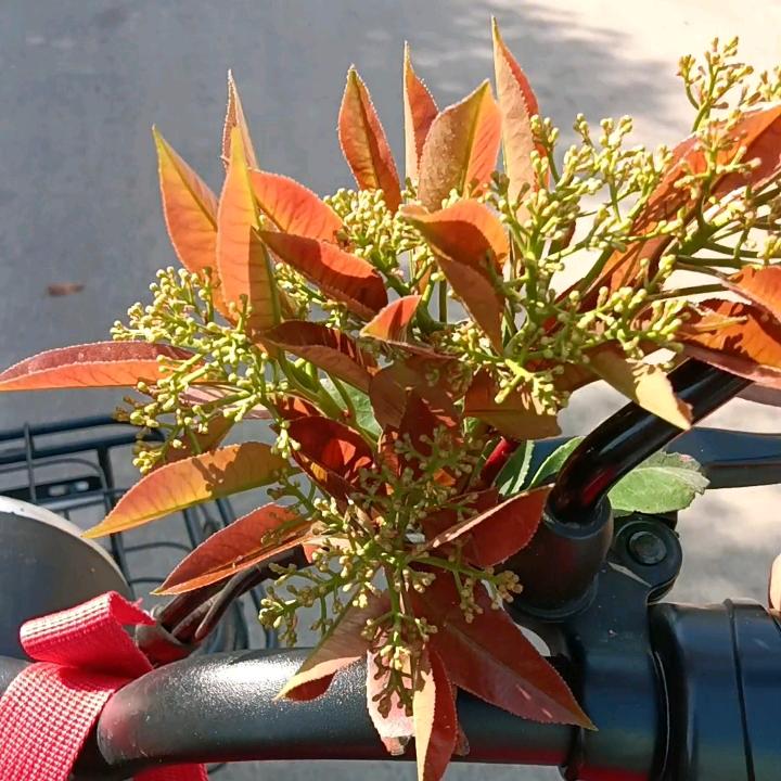 余生为自己而活