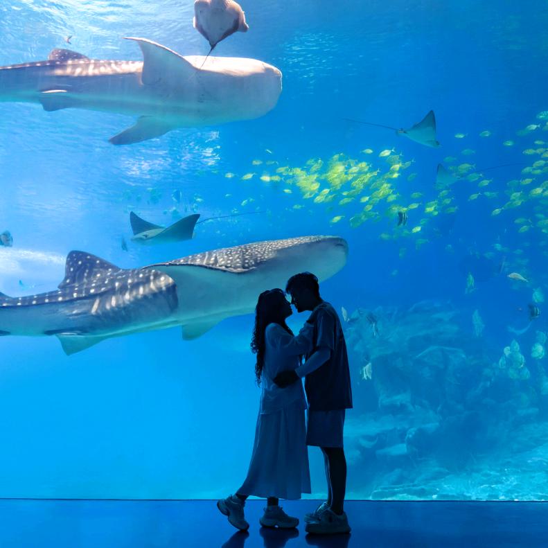 🌈ʚ🧸ྀིɞ  Amy↘蓉❤️