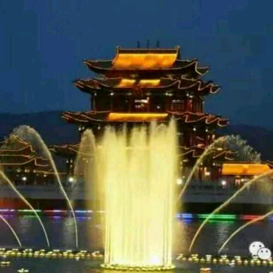 大漠客老王头