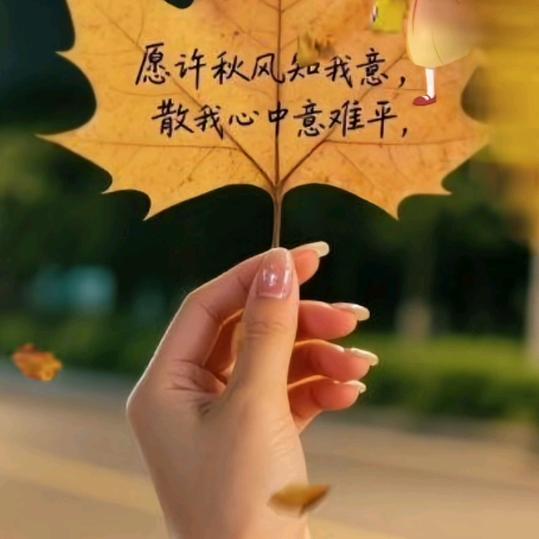 一生清风