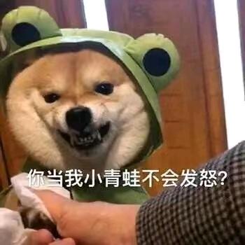 过冬.