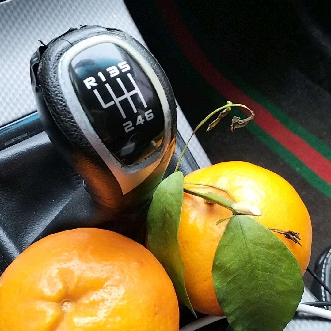 我的痛只有我自己懂