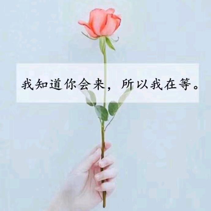 ༄༊࿆封心锁爱♡ོྂཾ࿆࿐