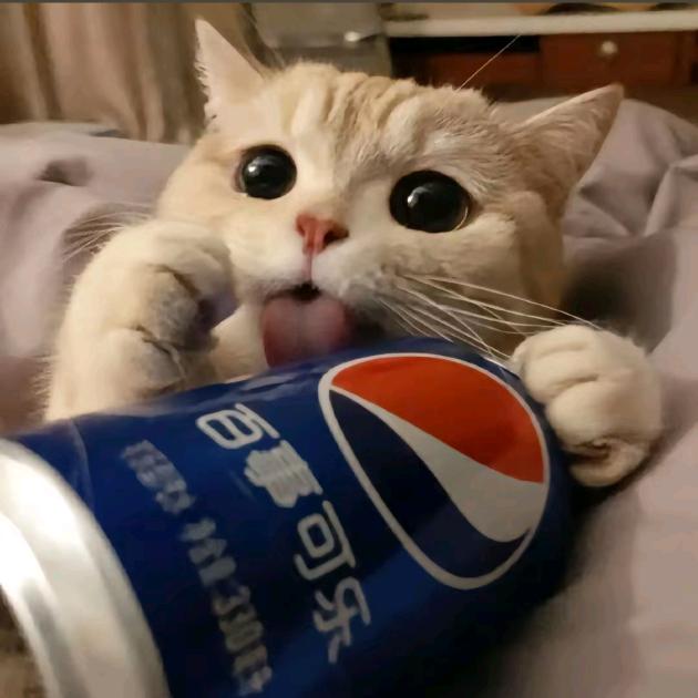诉云