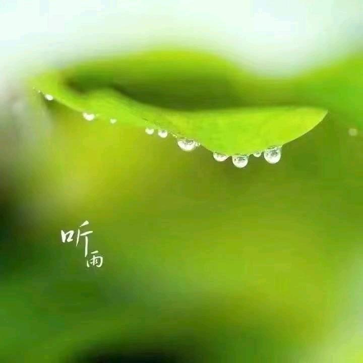 静夜听雨