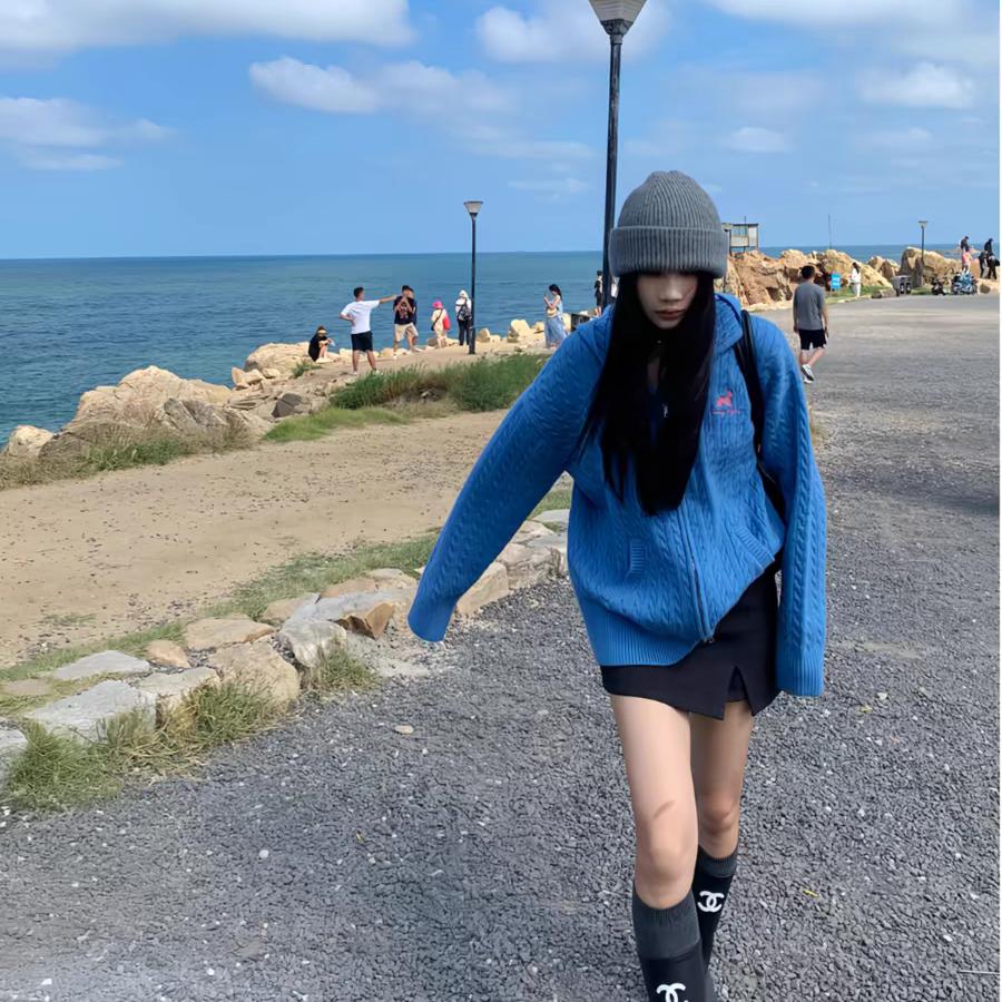 一条小景鲤👹