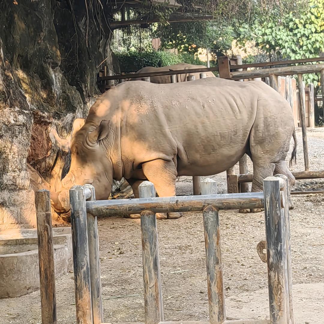 从你的世界路过