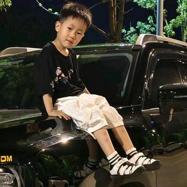 阳光下的葵花籽