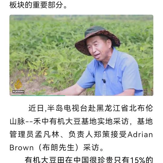 孟凡林