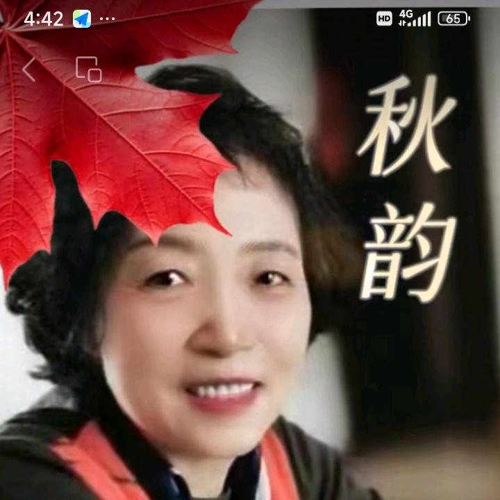 骏马奔腾(早5点)