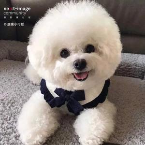 赞赞赞