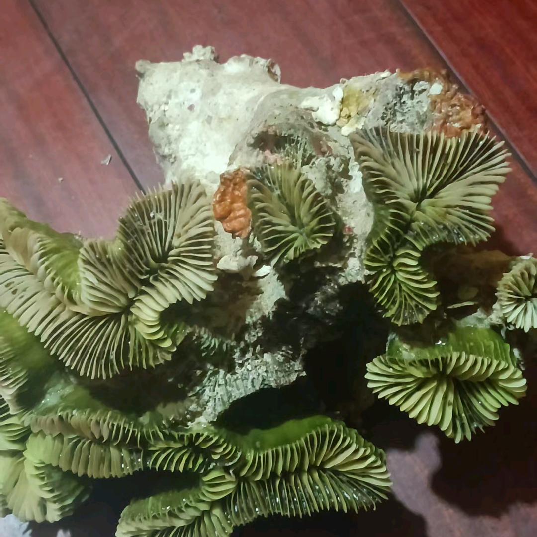 相识是缘