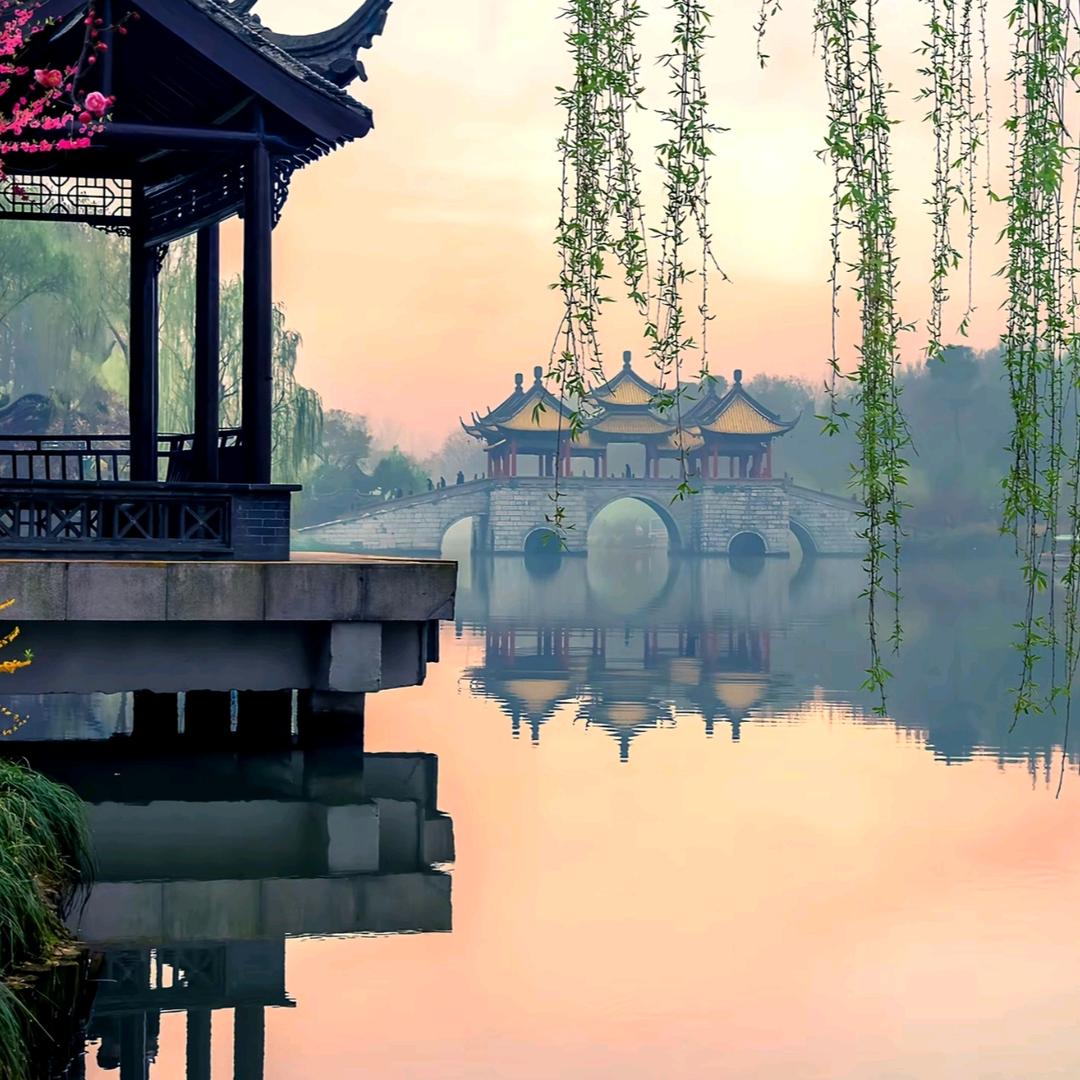 棠文科技26直播号