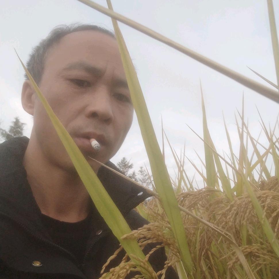 补充能量田荣飞。