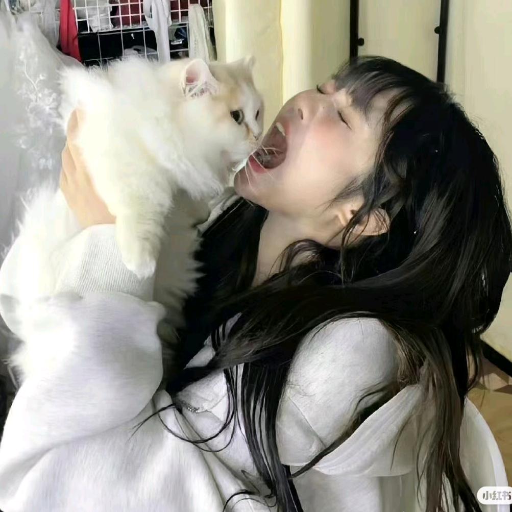 团子团子