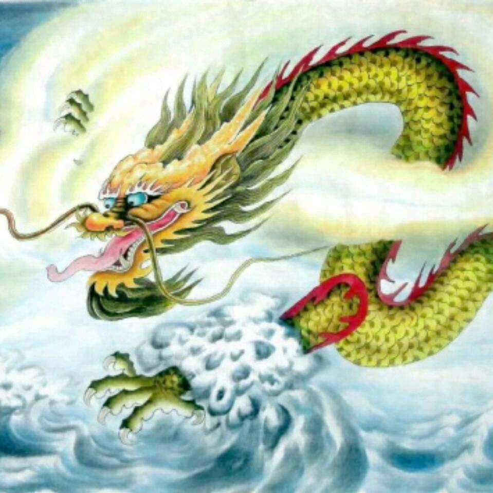 飞龙在天