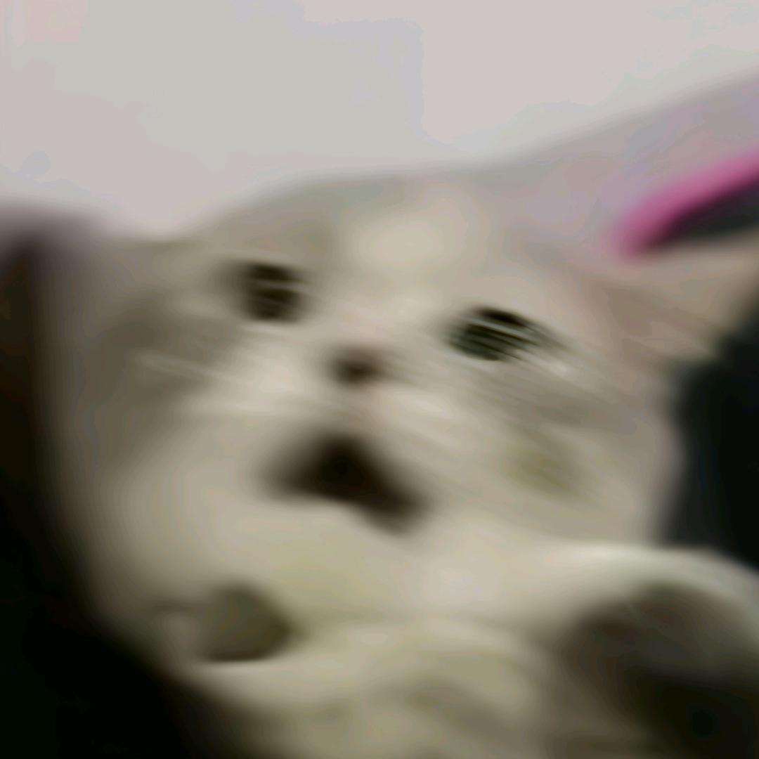 岁岁の奇妙冒险